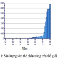 Tổng quan nuôi tôm thẻ chân trắng trên thế giới và Việt Nam